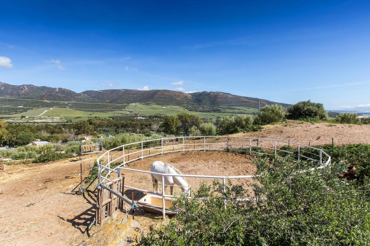 Casita Rural En Centro De Hipica Apartman Tarifa Kültér fotó