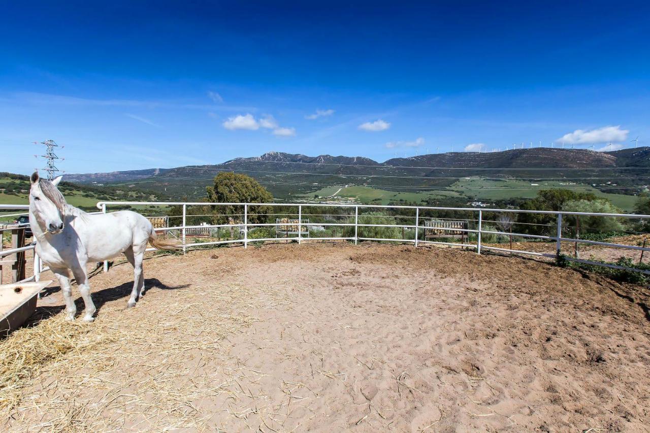Casita Rural En Centro De Hipica Apartman Tarifa Kültér fotó